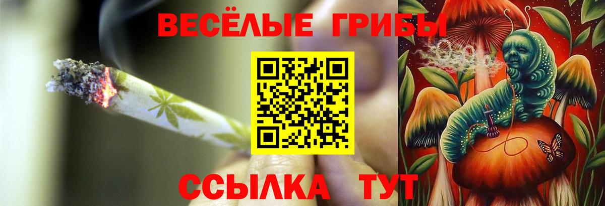Галлюциногенные грибы мухоморы  Вход с VPN  Галлюциногенные грибы Cubensis  Троицк 